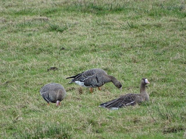 队在各类赛 队在各类赛