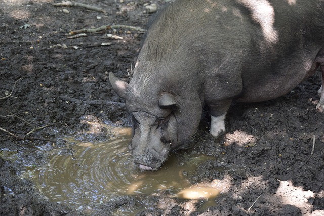 场地隐患 场地隐患