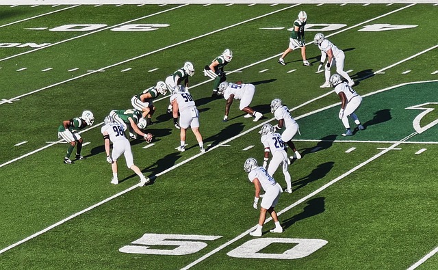 他执拗地坚 他执拗地坚