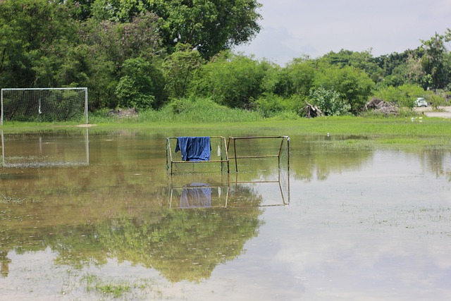 领导能力脱 领导能力脱
