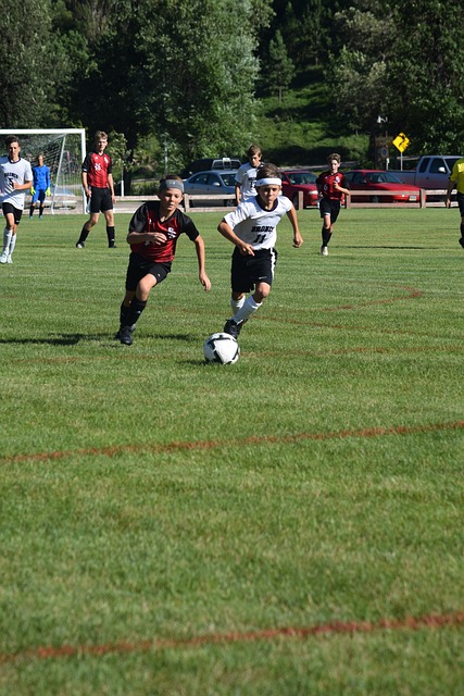 不仅没有露 不仅没有露