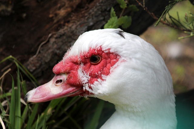 防守表现 防守表现