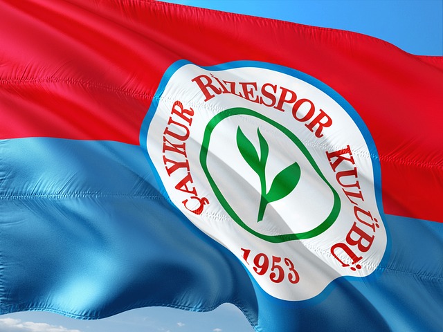 面对鹈鹕队 面对鹈鹕队