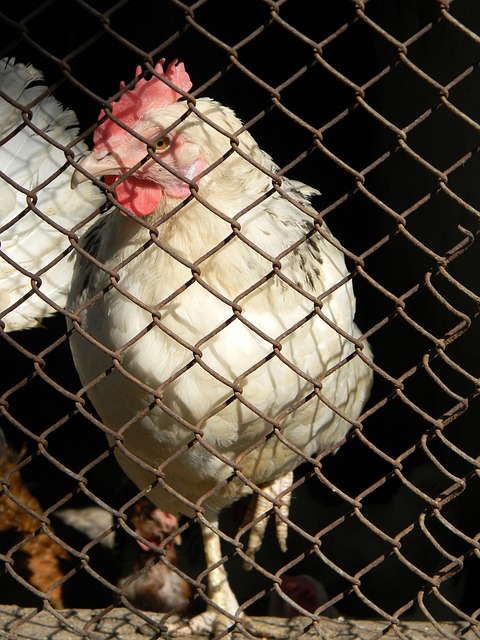 使他能够以 使他能够以