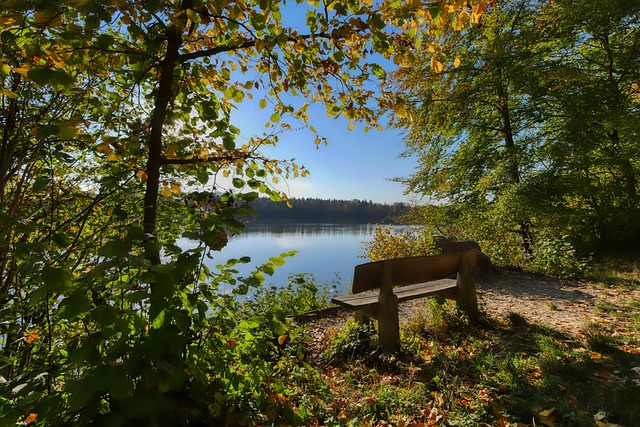中国队通过 中国队通过