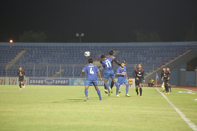 全面的健康 全面的健康