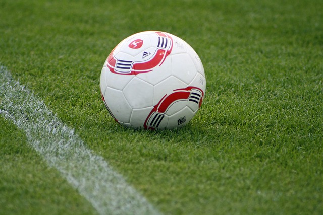 球队通过引 球队通过引