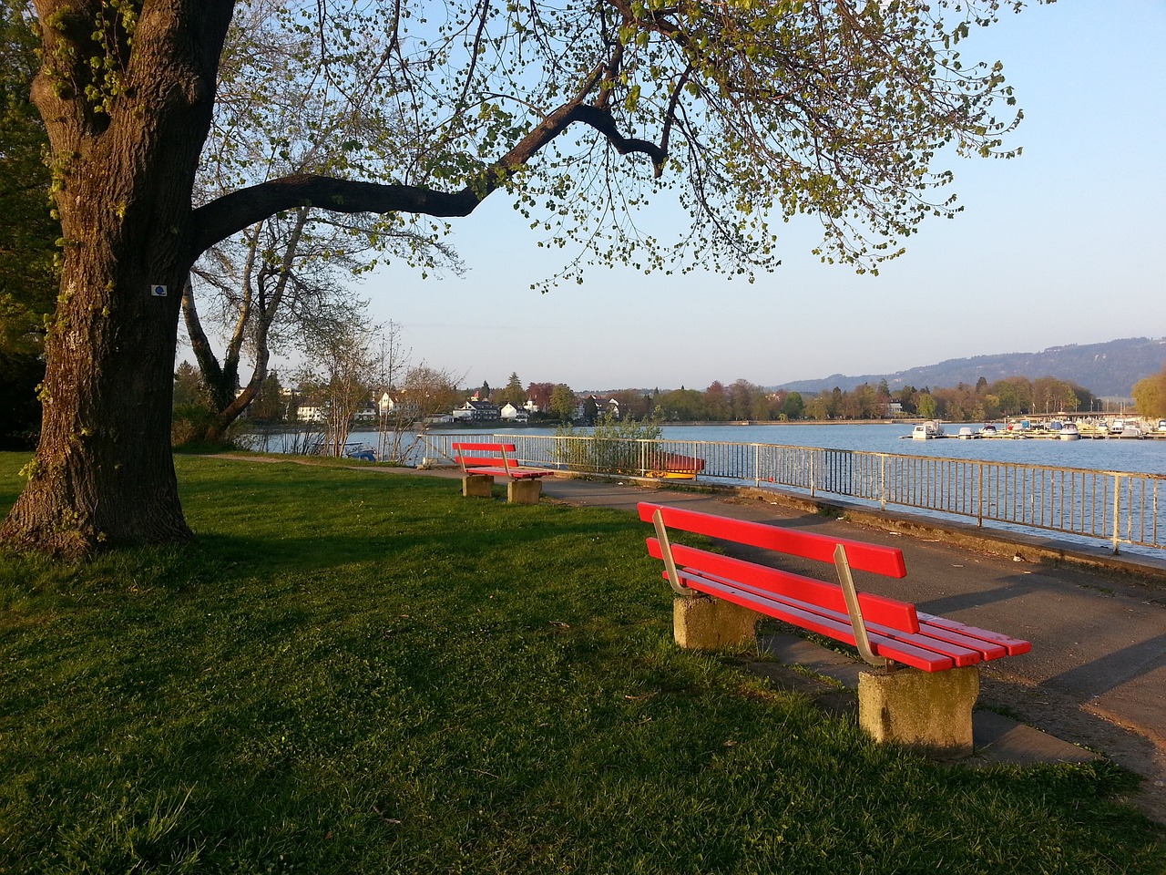 作为农历新 作为农历新