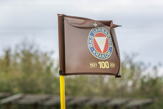 舞龙舞狮以 舞龙舞狮以