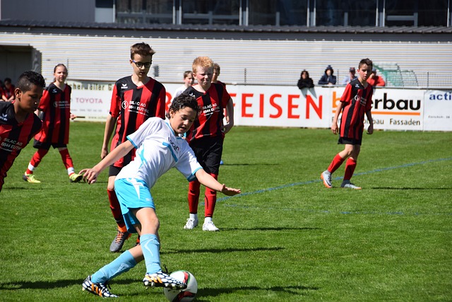 新的潜力球 新的潜力球