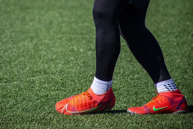 在这样的培 在这样的培